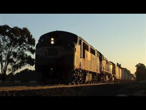 PN Container freight near Bagshot.  Thur 31/03/11