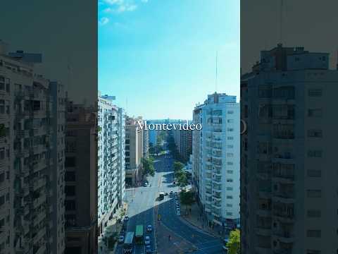 Av. Libertador Brigadier General Lavalleja, Montevideo. ¿Quién más ama esta ciudad? #montevideo 🇺🇾