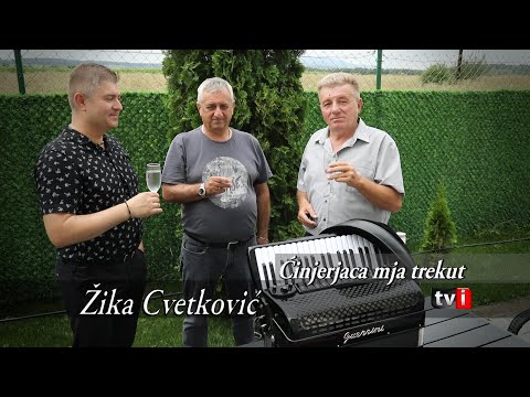 Žika Cvetković - Ćinjerjaca mja trekut