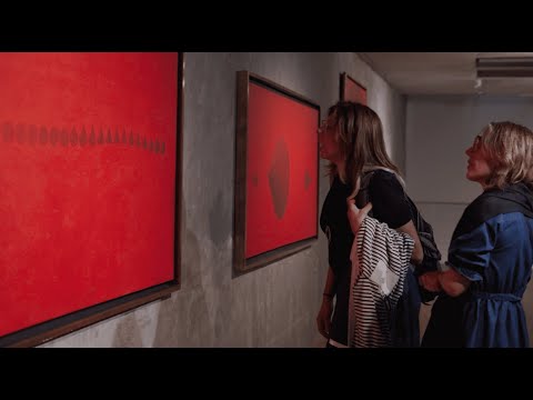 MACBA | Triple inauguración | Roberto AIZENBERG, Ernesto BALLESTEROS, Stella TICERA