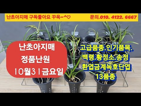 유튜브 썸네일