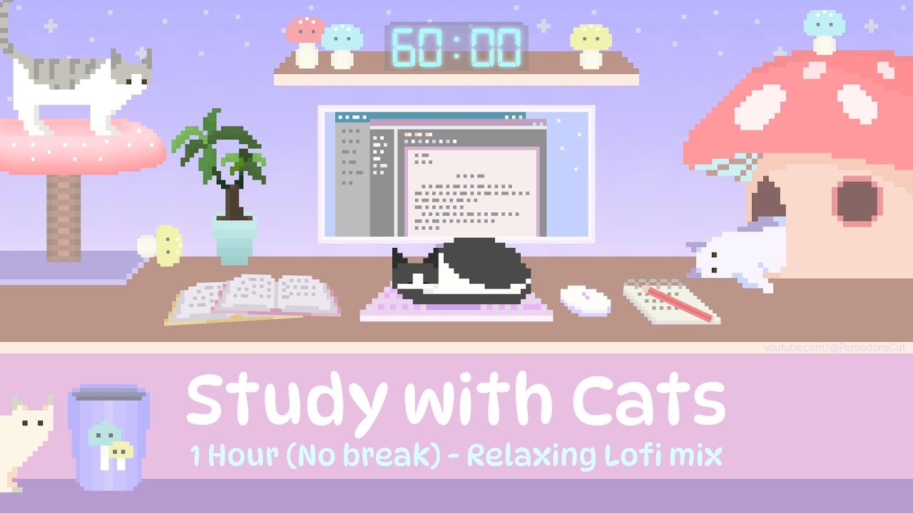Study with Cats 🍄 1 Hour Study Timer (No Break) x Animation | Relax & Focus in the Cute Mush-Room 🍄🐱