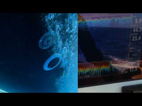 Airmar Transducer Underwater Footage + Sounder Screen