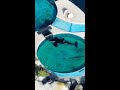 Heartbreaking video of "world's loneliest orca" trapped in tank