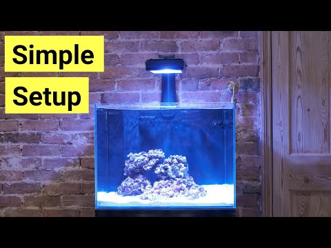 How To Set Up A Saltwater Aquarium For Beginners