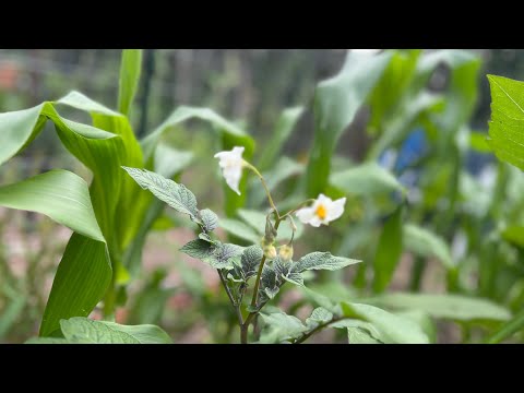 Take heart my Friend!