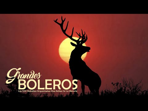 Instrumentales De Oro Del Recuerdo Las 500 Melodias Orquestadas Mas Bellas De La Historia