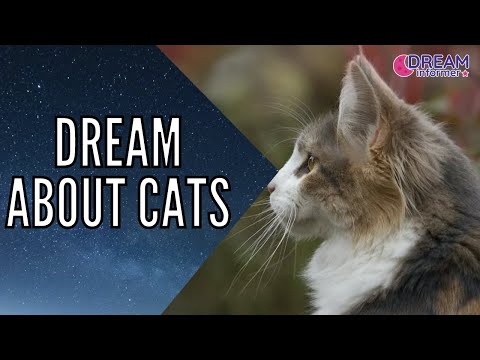 What Does it Mean When You Dream About Cats?