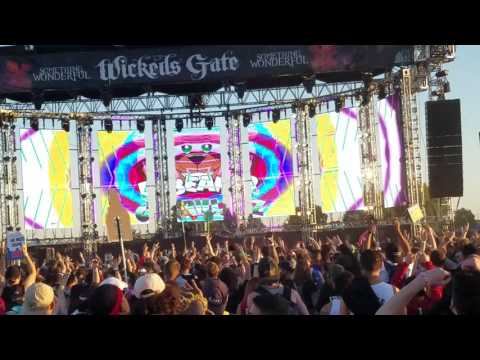 Bear Grillz - fuck bitches get honey - something wonderful 2017