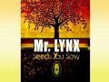 SEEDS YOU SOW_Mr.Lynx aka:FyahLynx