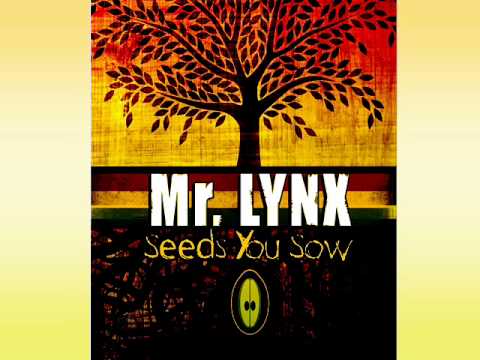 SEEDS YOU SOW_Mr.Lynx aka:FyahLynx
