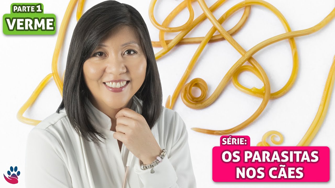 Vermes – Parte 1 – Encontrei vermes nas fezes do meu cão! E agora?