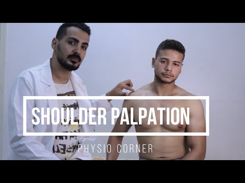 BICEPS MUSCLE PALPATION