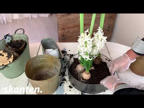 frostig julgrupp med blommor