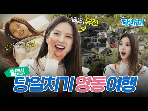 힐링을 위한 최고의 여행지! 나도 영동으로 데려가동~ [실속 vs 여유 당일치기]