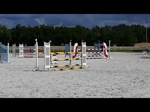 Zirusa H -110cm Olsza