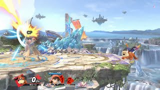 【スマブラSP】ダックハントの判定残すアレ