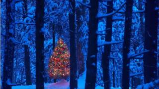⋱★ O TANNENBAUM (O CHRISTMAS TREE)★⋰ by The Ray Conniff Singers