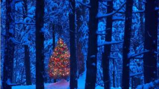 ⋱★ O TANNENBAUM (O CHRISTMAS TREE)★⋰ by The Ray Conniff Singers