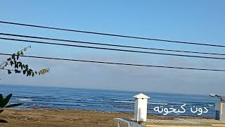 محمد معتصم | دون كيخوته