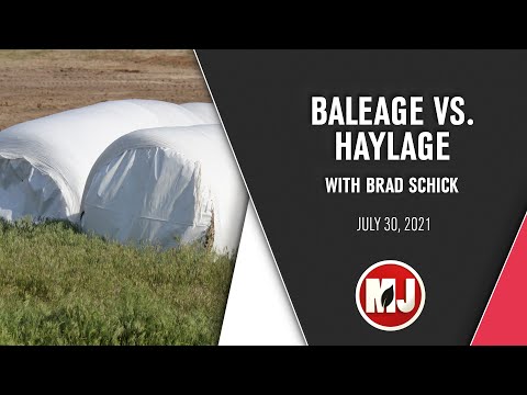 Baleage VS. Haylage | Brad Schick | July 30, 2021