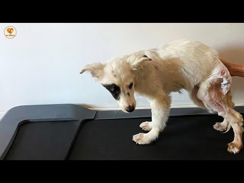 Wearing DIAPERS for life, He cried tears of joy running for the first time