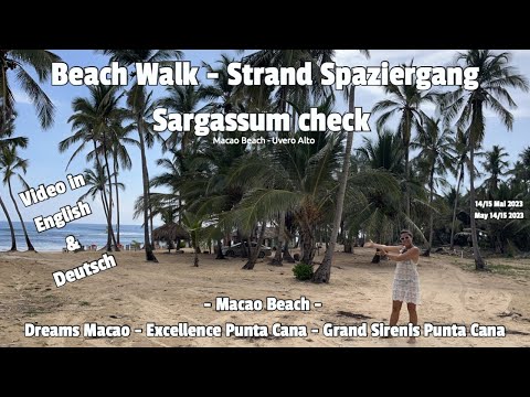 Untangling the Sargassum Situation in Punta Cana Seegrass Check Macao Beach -Uvero Alto May 15,.2023