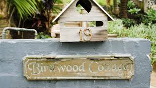 19 Birdwood Avenue, Collaroy, NSW 2097