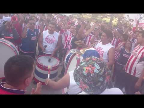 Porra de Chivas Barra Insurgencia Estadio Cuauhtemoc 2016