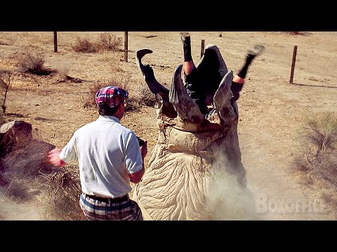 Todas as MELHORES cenas de O Ataque dos Vermes Malditos 3: De Volta à Perfeição