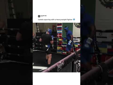 Canelo sparring with Frank Sanchez 👀