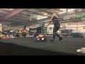 Devin Diamond VS Diamond Roberts