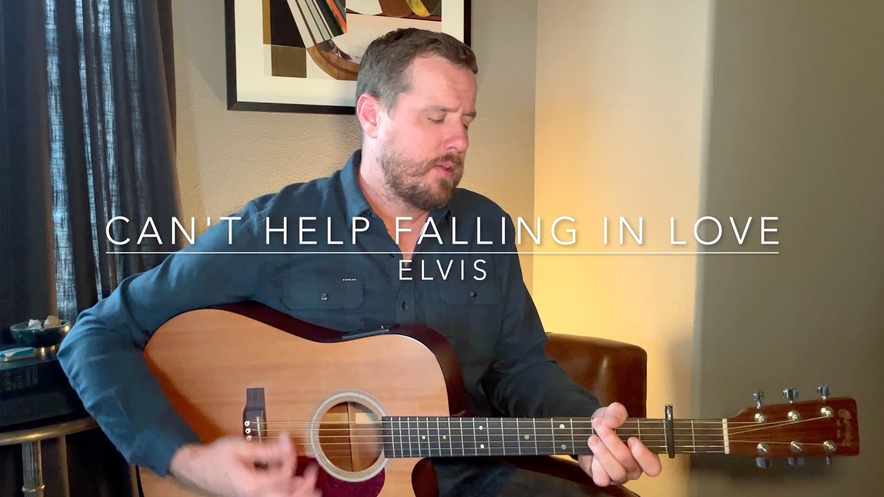 Promotional video thumbnail 8 for Brady Davis