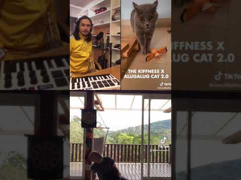 The Kiffness X Alugalug Cat 2.0 X The Homesters  🎶 😸 🕺🏽