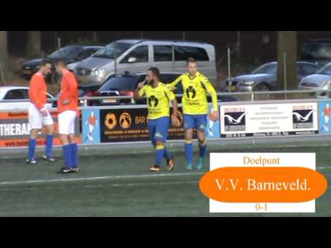 Samenvatting DVOV 1 - V.V. Barneveld