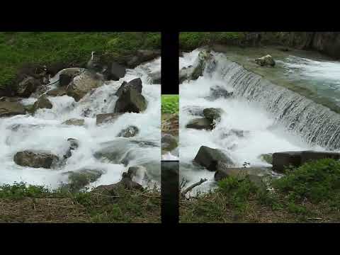 AIRONE CENERINO - ARDEA CINEREA #nature #ornitologia #airone