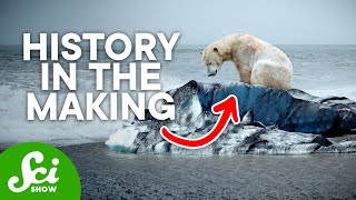 A History of Earth's Climate