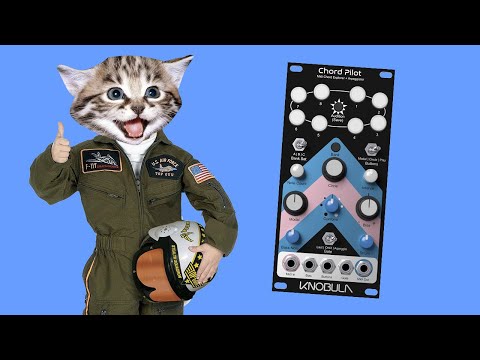 How to Learn a Module ft. Knobula Chord Pilot