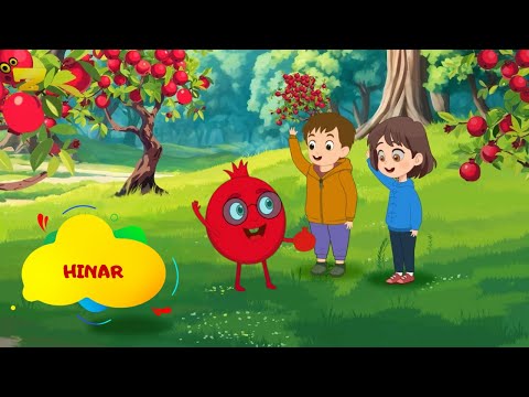 Zarok TV  -  Hinar 🎶