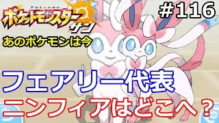 ニンフィア ポケットモンスター アーマーガア オンバーン ブニャット