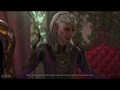Baldurs Gate 3: Tav and Jaheira banter: "Well, she did try to kill me once"