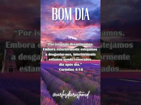 Vídeo: Mensagens Yla Fernandes bom dia: dúvidas e frases