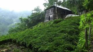 Aytekin Ataş   Ha Bu Ander Sevdaluk