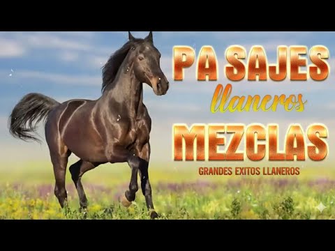 🐴 Pasajes Llaneros – Joropo | Alí Cabello, Cheo Hernandez , Vitico Castillo, Reynaldo Armas