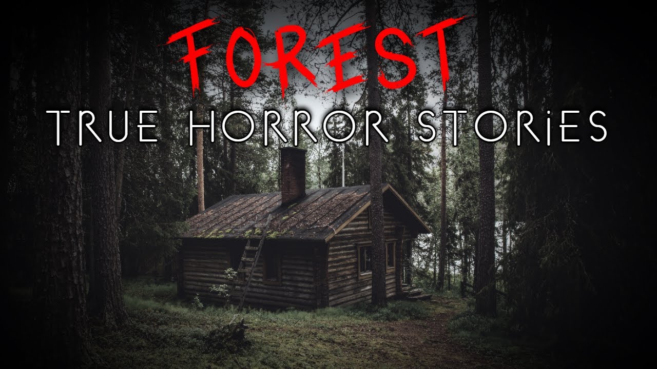 3 True Disturbing Forest Horror Stories (Vol. 2)