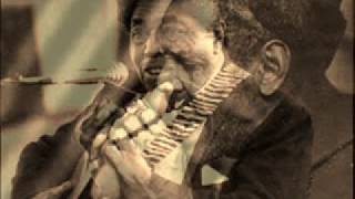 Johnny Shines &amp; Big Walter Horton-Worried Life Blues