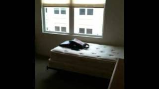 Disneyland college program apartments