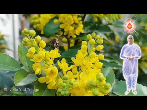 Telusuko Aathmavai...... Song 👌|Bk Telugu Song