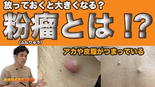 動画3
