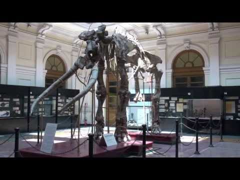 Museo di Storia Naturale di Genova Info tour per crocieristi Liveboat Crociere